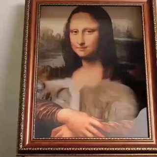 Мотивэйшонс