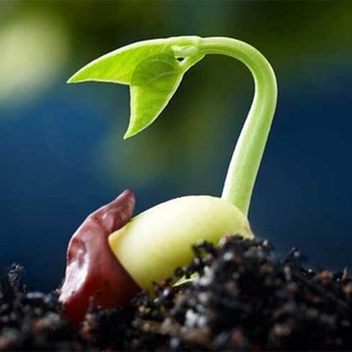 👁 AltModeMind Global