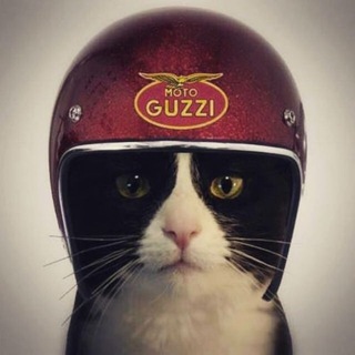 Мото Фото 🏍 📸