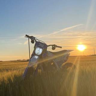 Motoland one love 💙