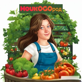 ℳℴนᶄ ОℾО℘ℴℊ