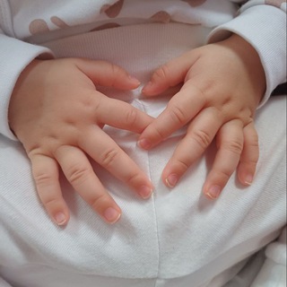 Познаем мир с Софи🐭