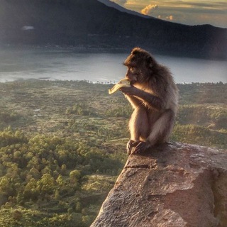 экспонаты холдера