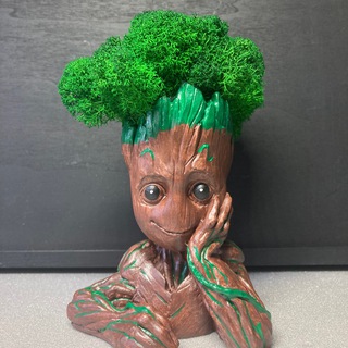 Мох-природа-шишки декор для дома, подарки