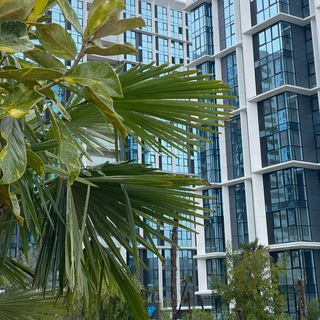 Мой Дом Кубань