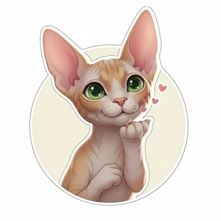 Елена Кирилина: мой нейропуть