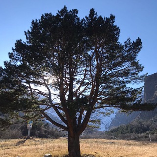 Мой Владикавказ