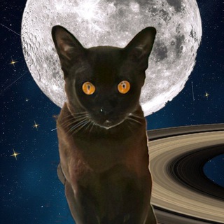 Книгочей Мария и Ко