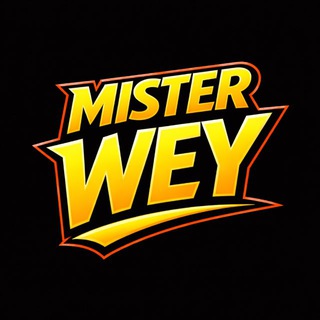 Mr. Wey | Авто из Китая 一分钱一分货
