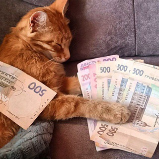 𝙈𝙧.𝘼𝙡𝙥𝙖𝙘𝙝𝙚𝙨