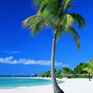 Можайское туристическое агентство 🛥🛫🚌🏝