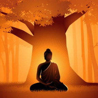 Мудрая книга