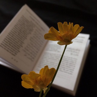 𝐦𝐮𝐡𝐚𝐫𝐢𝐛𝐮𝐧