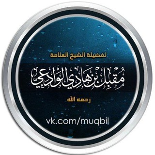 шейх Мукъбиль ©