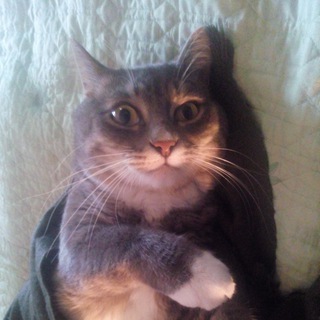 Многосерийный