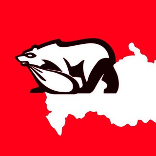 Проект "СКАНЕР"