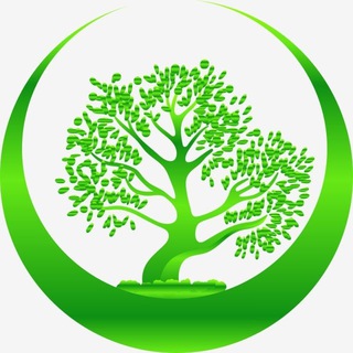 МУП "ЭКО-КОМФОРТ-СЕРВИС" АДМИНИСТРАЦИИ ГОРОДА ЯСИНОВАТАЯ