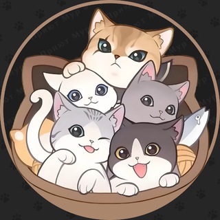 Приют Мур’а