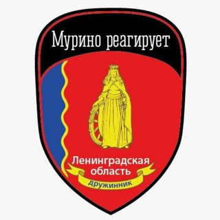 Дружина Мурино Реагирует - Чат