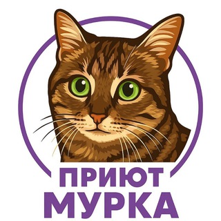 Частный приют "Мурка" (Волгоград)