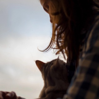 Maine Koshka про муркетинг