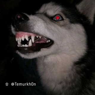 😎😎DM YOMON 😤😤