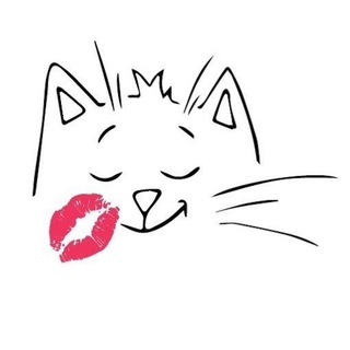 котопесокафе Мурррчим