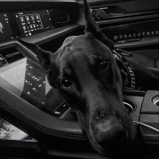 ᴍᴇʟʙᴏᴜʀɴᴇ