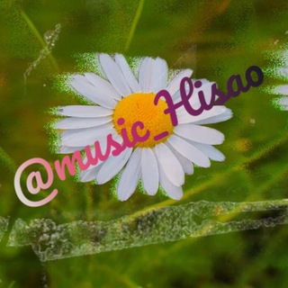 🌷 Spring Music Room 🌥