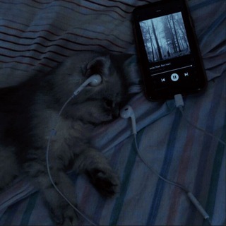 Sᴩᴇᴇd ʍusiᴄ/ᴀʙᴀᴛᴀᴩᴋи Cf