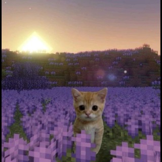 Фонк музыка