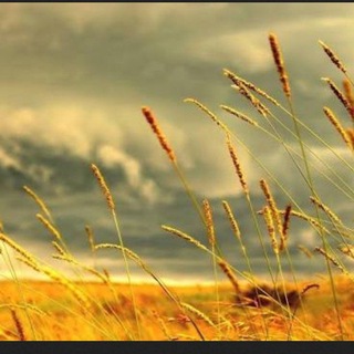 Минимализм и простота