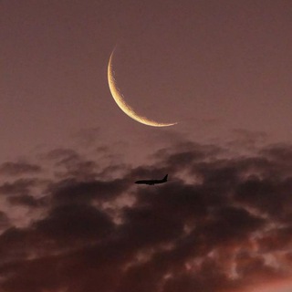 𝕄𝕌𝕊𝕀ℂ 𝕄𝕆𝕆ℕ 🌙