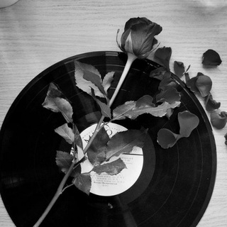 𝓐𝓵𝓲𝓴𝓱𝓪𝓷 𝓶𝓾𝓼𝓲𝓬❤️‍🔥