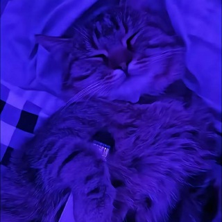 🎵 Музыка 2026 🎵