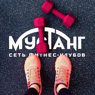 Мустанг, сеть фитнес-клубов