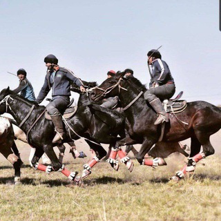🐎🐎. MUSTANG. UCHAR OTLAR. 🐎🐎