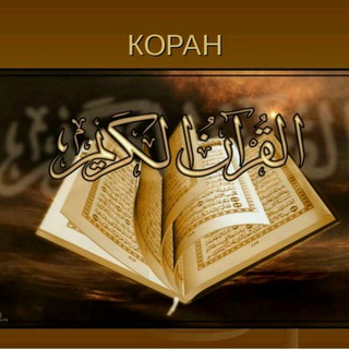 Дневник Мусульманина