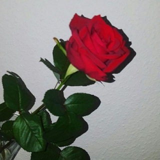 Ismlar.rasmlarga.yozamiz. va mp3larga zakaz gr