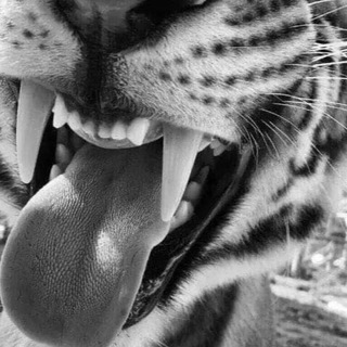 Музыкальные мысли 💭🎶