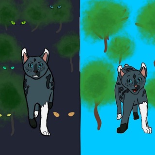 Студия Mint (Mint star)