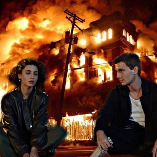 My Asi kiz | Дикий | Гений | Yabani | Deha | Фальшивомонетчик | Kalpazan