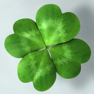 МОЯ ДАЧА (Сад | Огород | Дача)