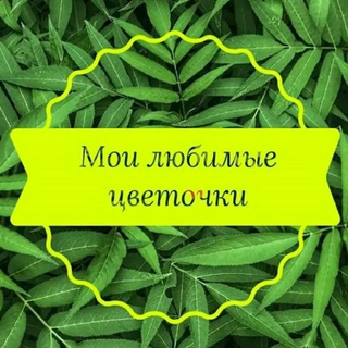 Мои любимые цветочки