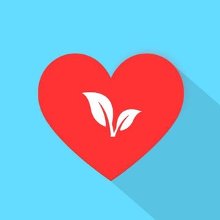 Красота и Здоровье