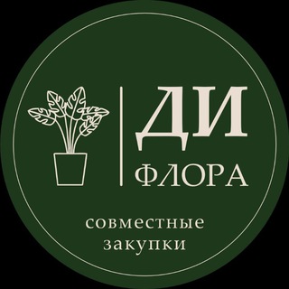 Закупка/Голландия/Краснодар 💚🤍💚