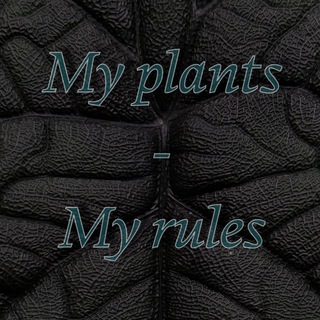 My plants - My rules