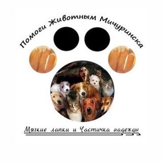 🌸Канал «МЯГКИЕ ЛАПКИ» - «Частичка надежды» Мичуринск