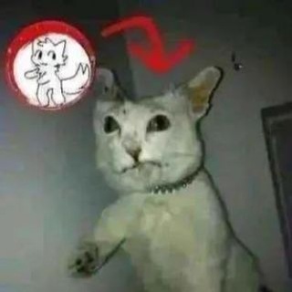 МЯТНИКИ ☘️