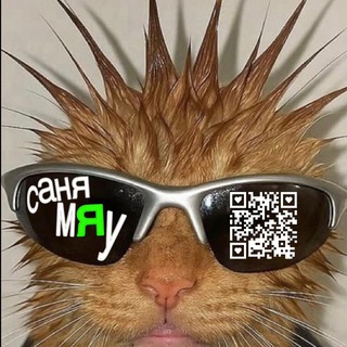 саня мяу